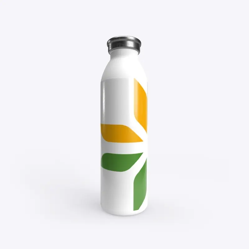 Stainless Water bottle